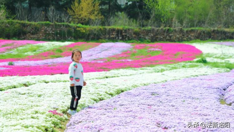 欒川今日最新天氣，欒川今日天氣預報更新，最新天氣狀況解析