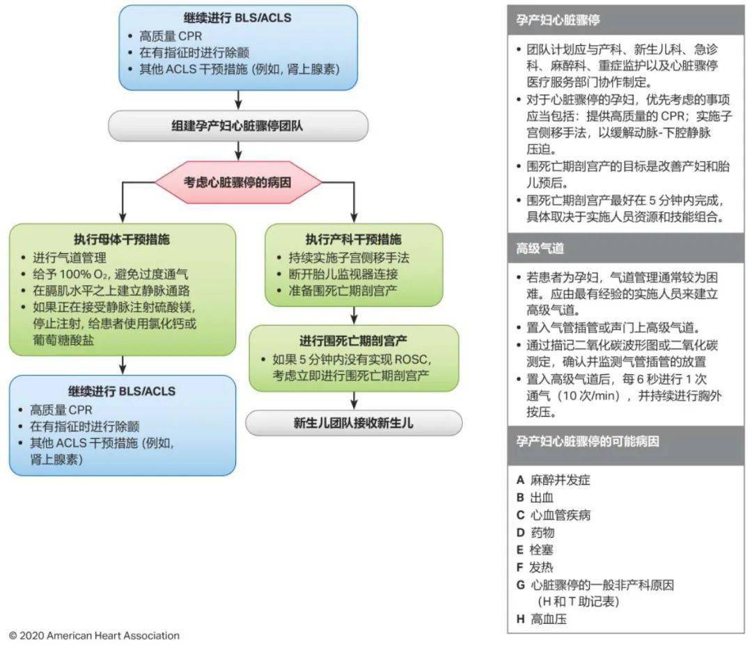 最新心肺復蘇指南（CPR）2017，掌握關(guān)鍵技能，拯救生命瞬間，最新心肺復蘇指南（CPR 2017），關(guān)鍵技能助你瞬間拯救生命