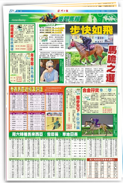 2024澳門特馬開獎預測與分析