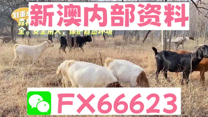 新澳2024今晚開獎資料四不像開獎規(guī)則詳解