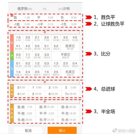 新澳門天天彩期期精準(zhǔn)方案，助你實現(xiàn)財富自由夢想