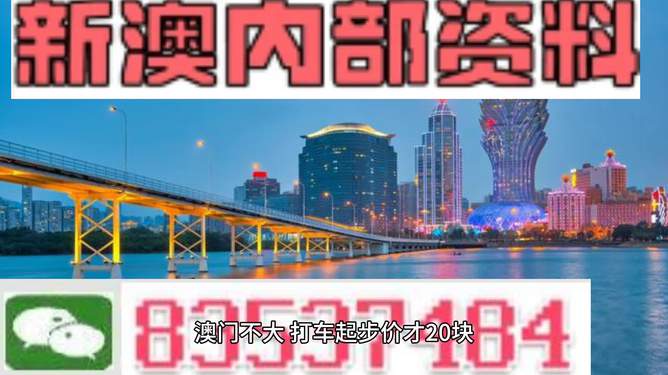 新澳精準資料期期精準,實地分析解釋定義_定制版48.28