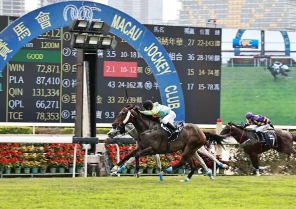 香港馬會資料快速更新，助您洞察賽馬趨勢