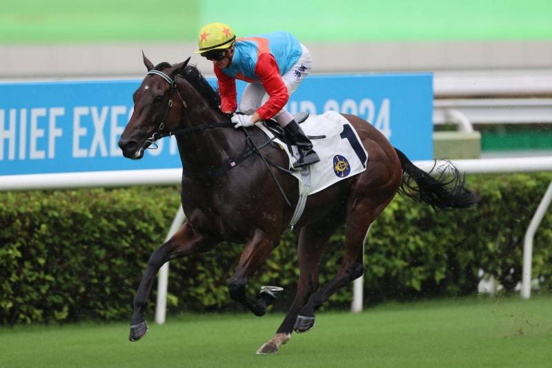 香港馬資料快速更新，助您輕松掌握賽馬動態(tài)