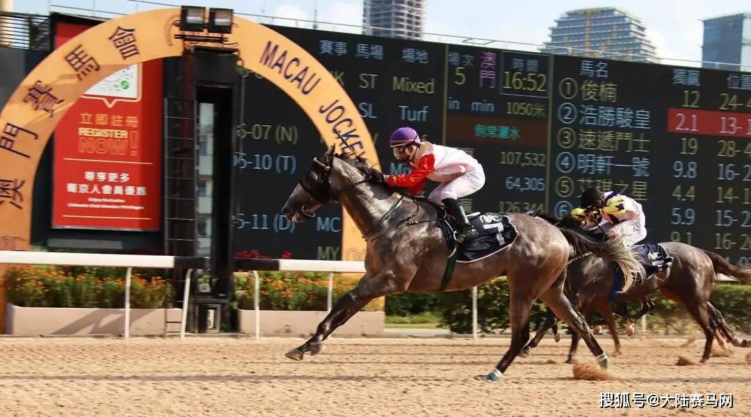 澳門馬會開正版掛牌：賽馬賽事的深度分析報告