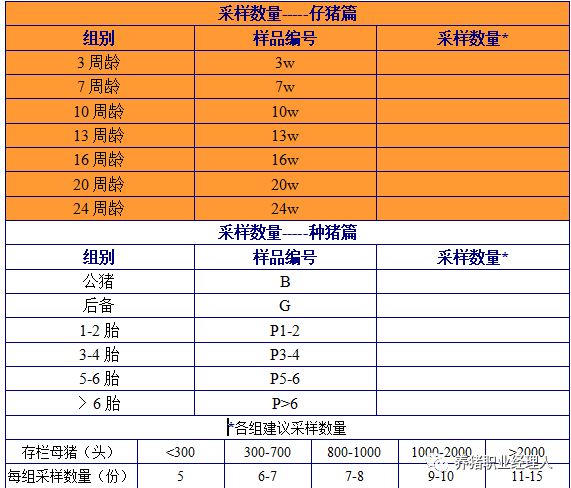 2024年新澳門開獎結果詳細記錄與分析