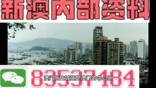 揭秘2024澳門精準(zhǔn)正版免費(fèi)大全：獨(dú)家內(nèi)容與專業(yè)視角