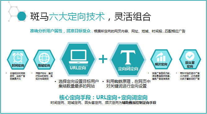 深入王中王資料大全枓大全：核心內容與關鍵知識點