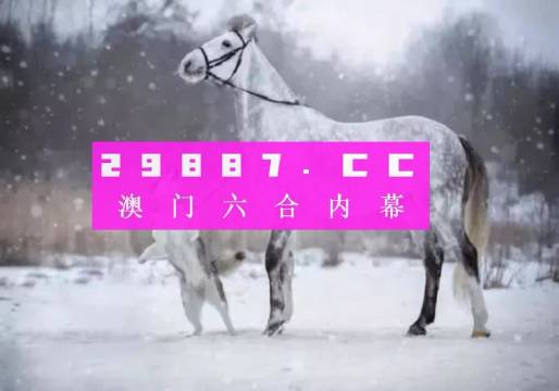 深入解析澳門一碼中：精準(zhǔn)一碼的策略與技巧