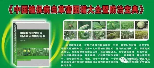 新澳天天開獎資料大全最新更新：中獎必備寶典